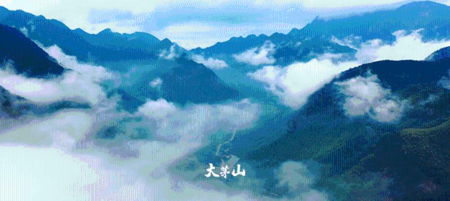 泛亚电竞网站